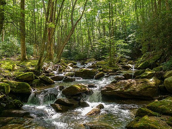 Beautiful view of the creek