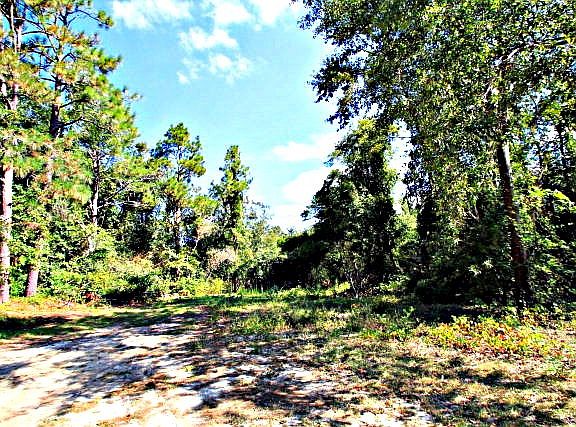 2nd image of 1925 Tobacco Rd
