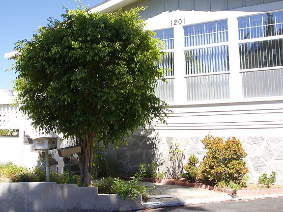 3rd image of 1201 Supi Ln