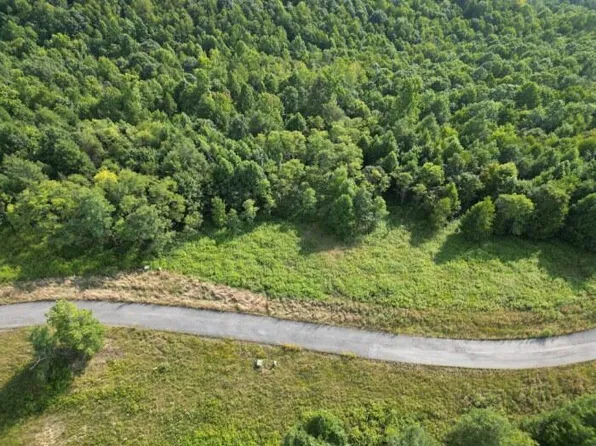 22 River Ridge Ln, Mount Nebo, WV 26679