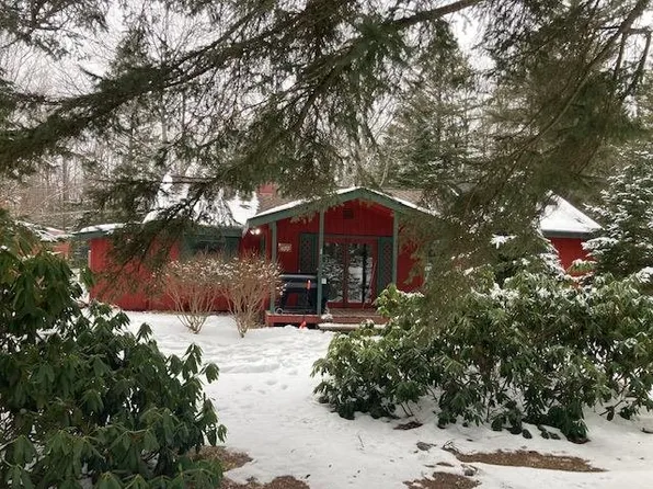 650 S Milton St, Pellston, MI 49769