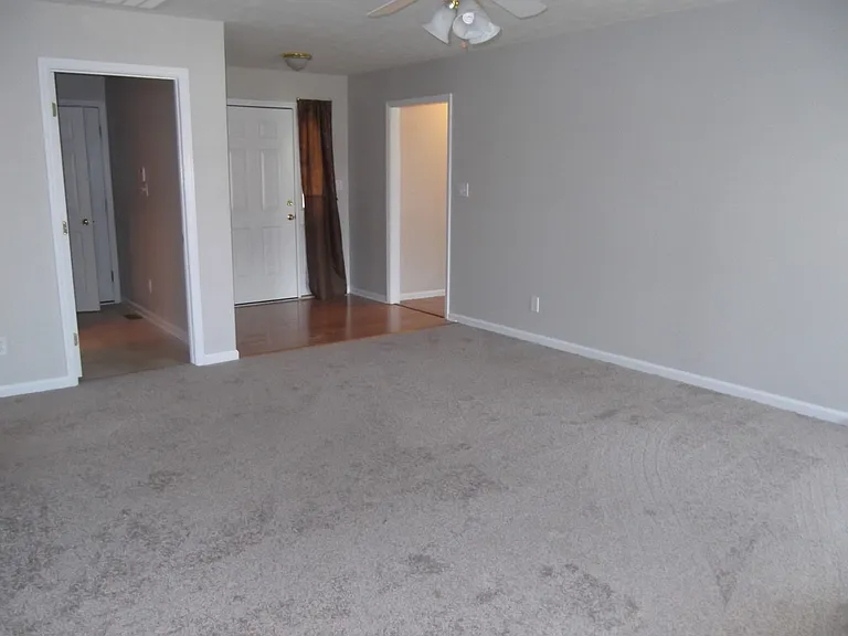 2937 Piney Mountain Dr — Photo 12