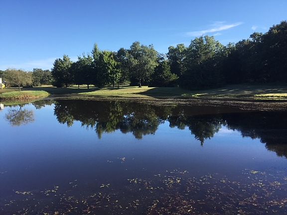 View toward North East