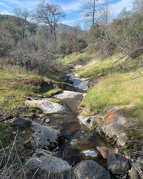 1st image of 9955 Highway 49 N