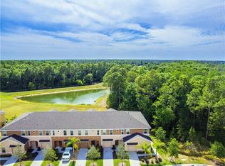 2817 Birchcreek Dr, Wesley Chapel, FL 33544
