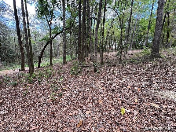 5th image of 0 Driftwood Ln