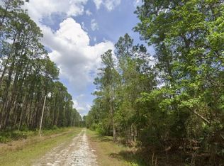 138 Mosswood St LOT 173, Georgetown, FL 32139