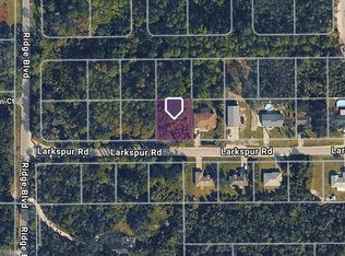 Larkspur Rd LOT 452, Deland, FL 32724