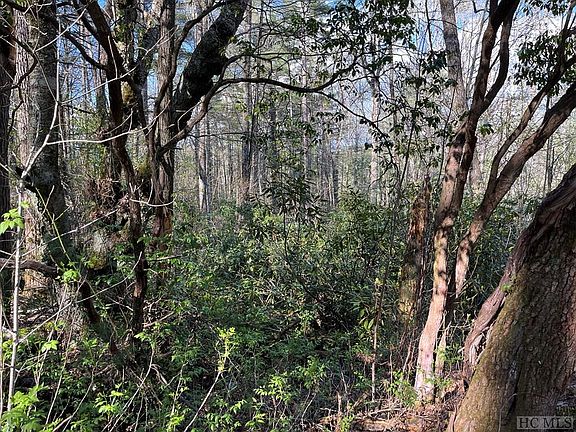 5th image of Lot 13 S Woods Mountain Trail