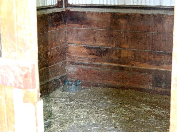 CONCRETE  FLOORS IN STALLS
