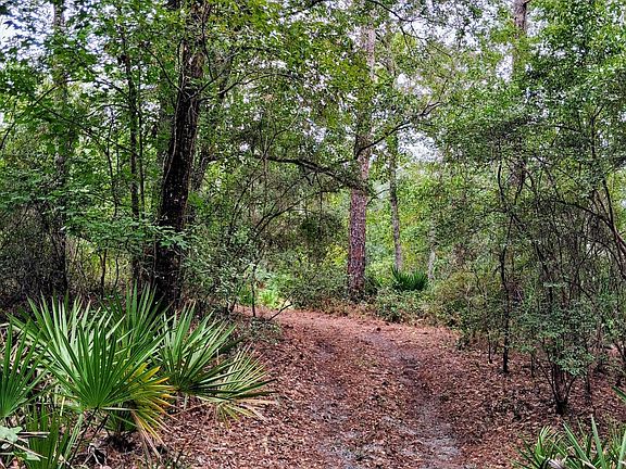 3rd image of LOT 9 SKIPPER Road