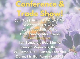 2650 Lakewood Forest Rd, Moneta, VA 24121