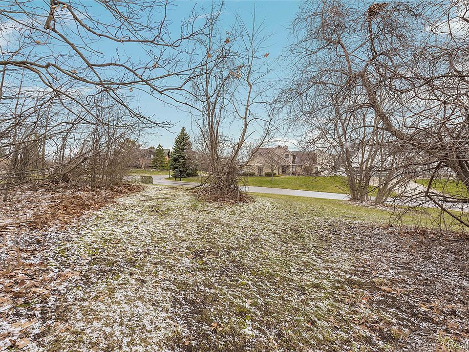 0 Forest Bay Dr, photo 8