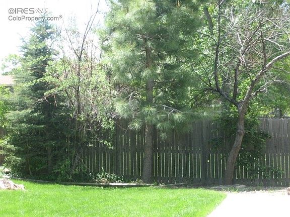 Lots of trees