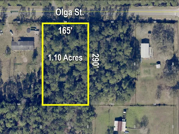 4425 Olga St, Hastings, FL 32145