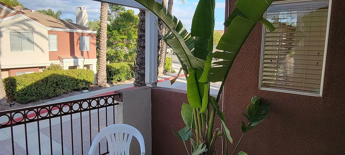2 bed, 2.0 bath, 950 sqft, $3,200 — Photo 3