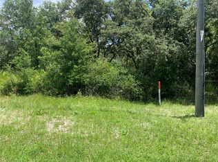 8098 Treiman Blvd LOT 60, Webster, FL 33597