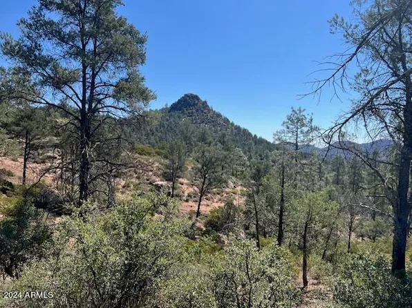 901 S Monument Valley Drive #164, Payson, AZ 85541