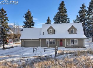 113 Allison Pl, Divide, CO 80814