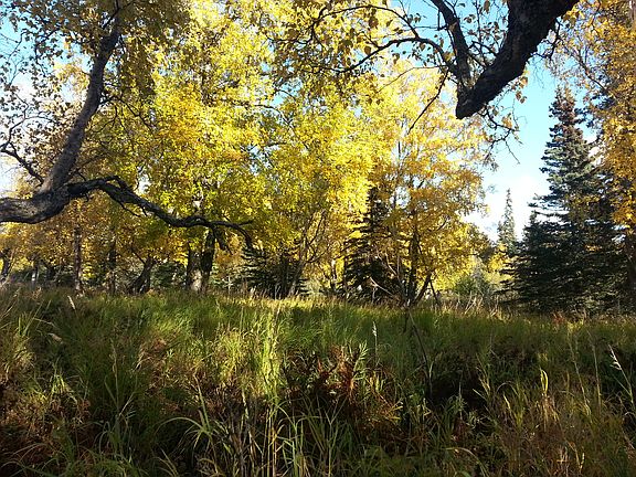 3rd image of Parcel 4 N. Klaus's Cir