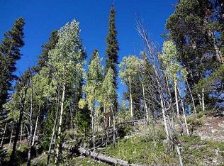 Tbd Guyot Rd, Fairplay, CO 80440