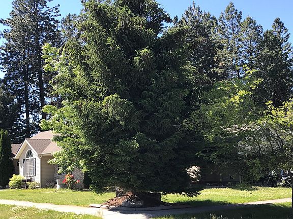 2nd image of 4525 E Mossberg Cir