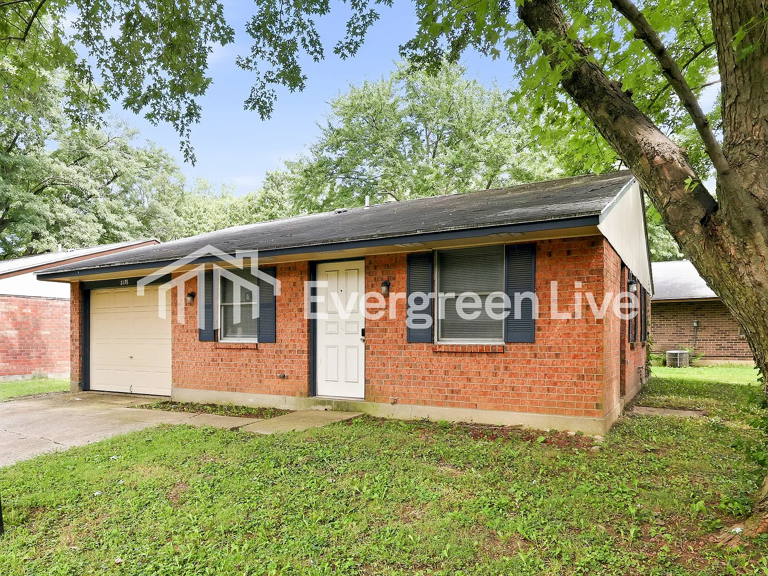 1 bed, 1.0 bath, 933 sqft, $995 — Photo 2