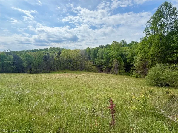 County Line Rd, Saint Marys, WV 26170