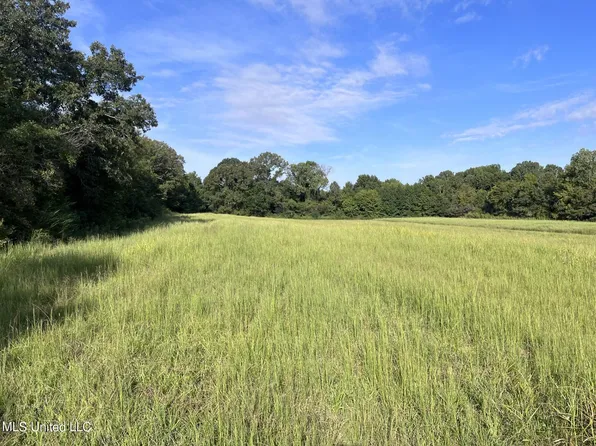 9 Dean Rd #9, Lake Cormorant, MS 38641