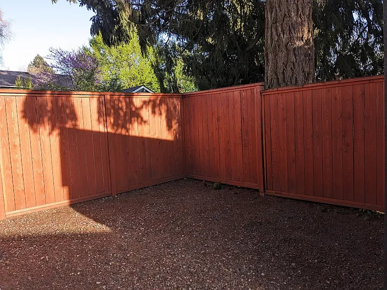 Other side of the shed.