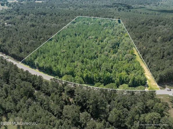 20 Acres Hwy #589, Sumrall, MS 39482