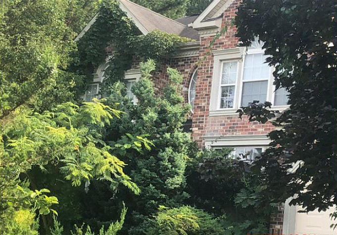 2nd image of 817 Bynum View Ct