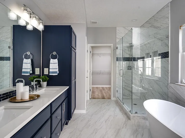 Luxury master bathroom
