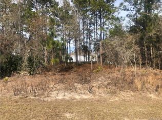 1369 W Riley Dr, Citrus Springs, FL 34434