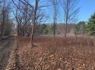 0 Cooper Hill Rd, Hinsdale, NY 14743