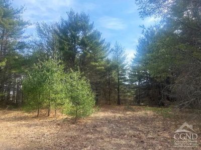 0 Cangiano Drive, Prattsville, NY, 12468