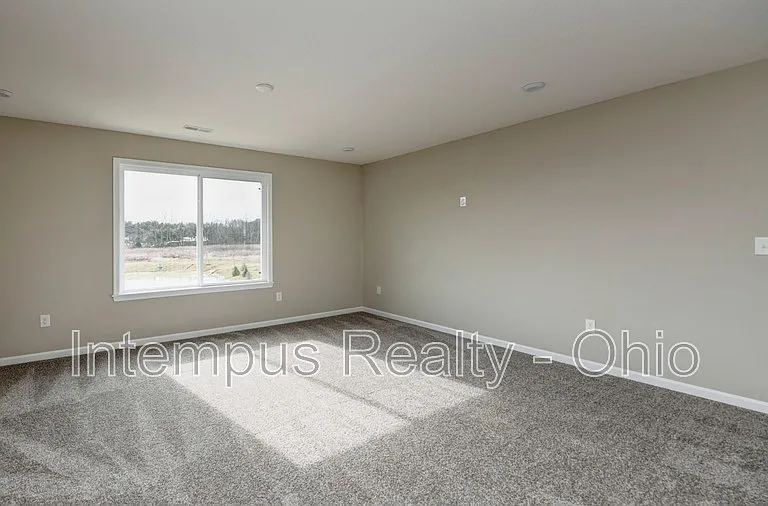 1003 Beehive Grv — Photo 17