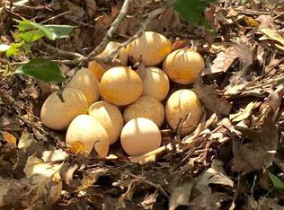 4534 Reservoir Rd, Winnsboro, SC 29180