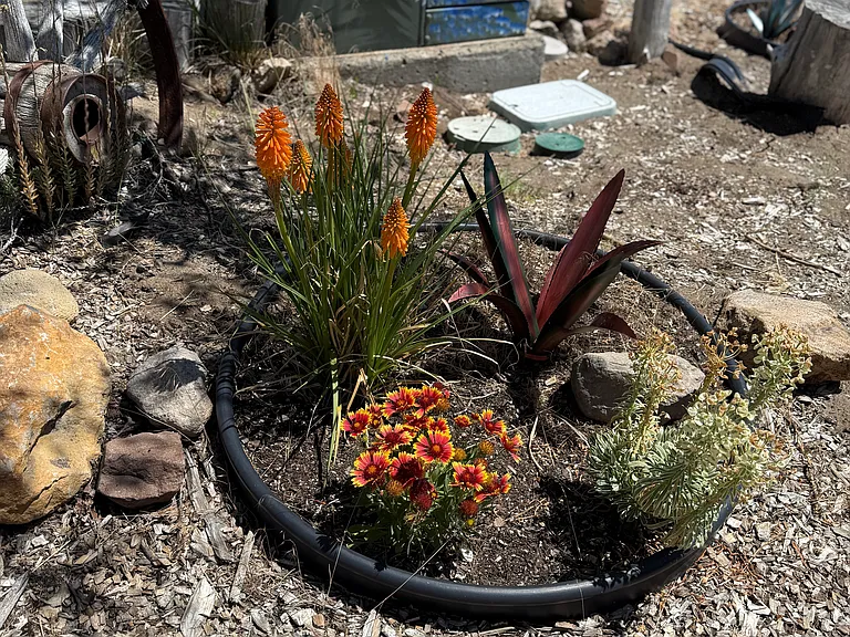 Helm Pl — Photo 18