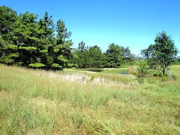 4th image of 1961 County Road 524