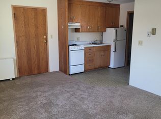 225 6th Ave SW, Rochester, MN 55902