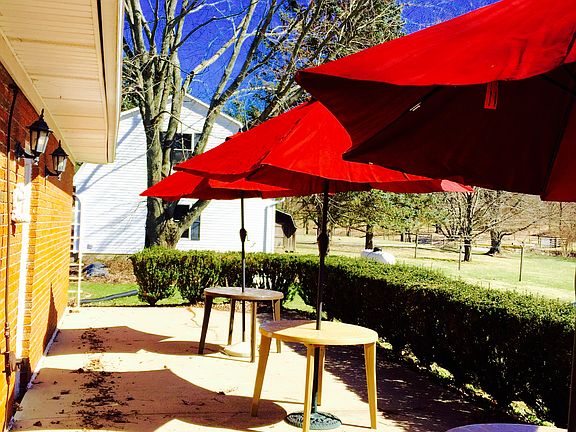 Back Patio