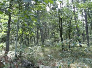 V/l #5039, Irons, MI 49644