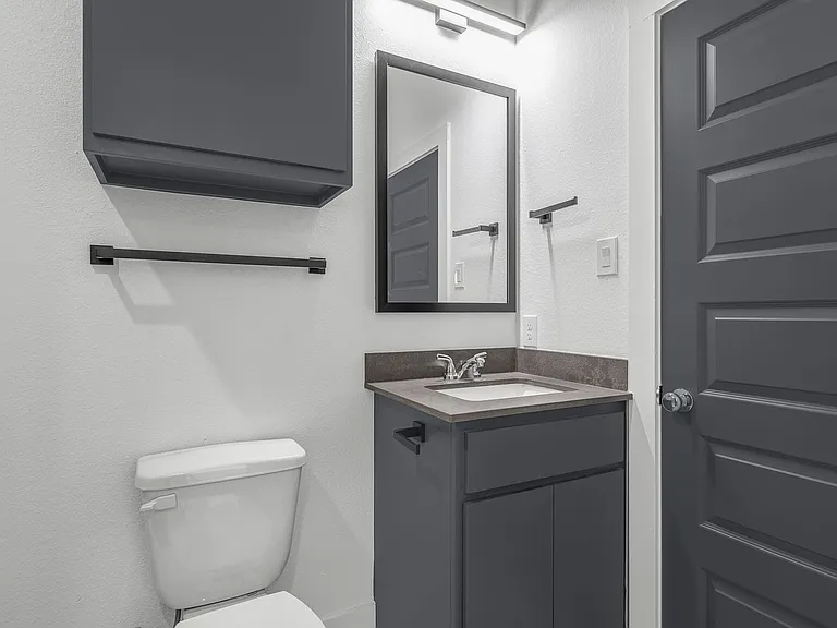 3010 Alpha Wolf Ct — Photo 31