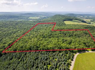 0 Rice Rd, Cayuta, NY 14824