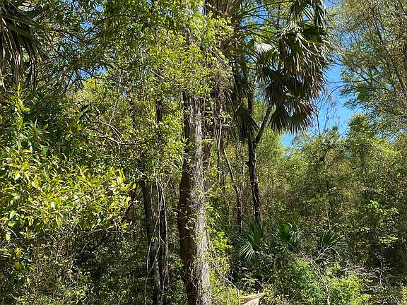2nd image of Xx Coastal Hwy