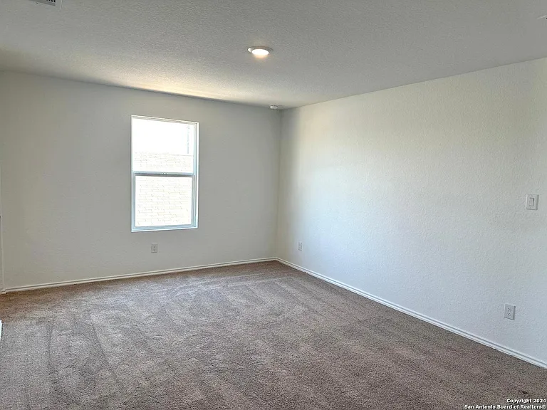 9263 Honey Mesquite — Photo 6