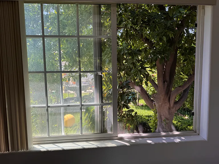 Bedroom window