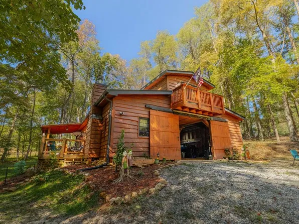 127 Black Ankle Dr, Cherry Log, GA 30522