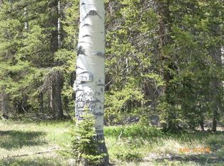 351 Crest Dr, Cimarron, CO 81220